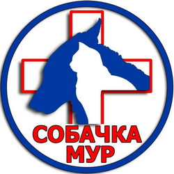 ветеринарна клініка СобачкаМур, Коломия